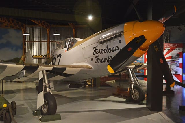  - Warbird