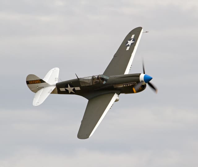  - Warbird