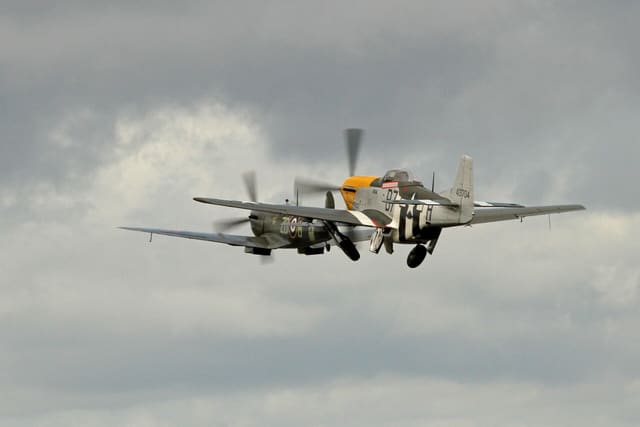  - Warbird