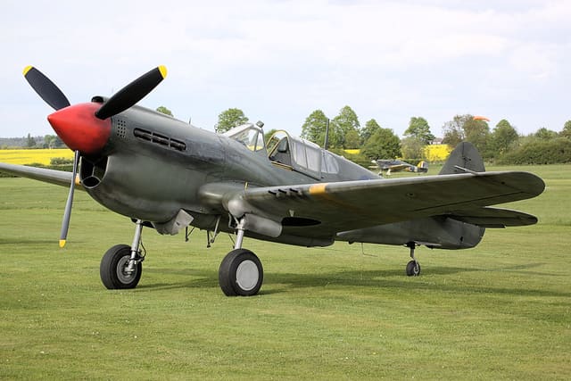  - Warbird