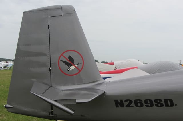 N269SD - Single-engine aircraft