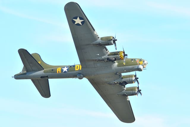  - Warbird