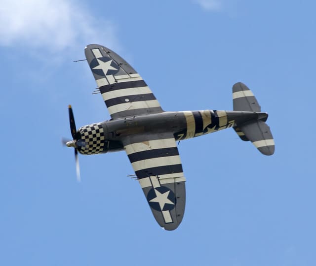  - Warbird
