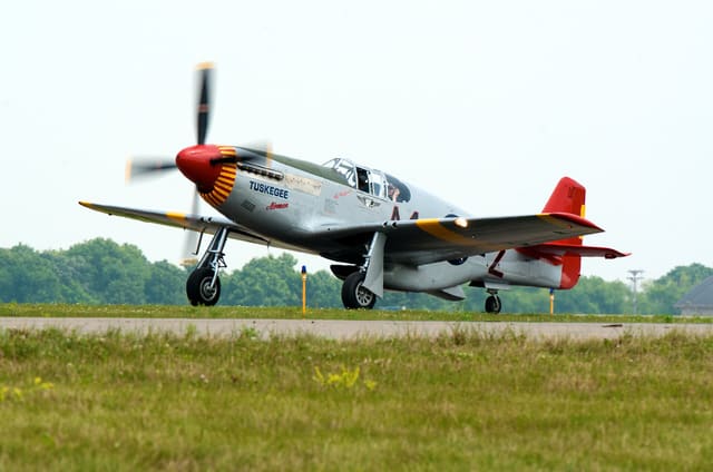  - Warbird