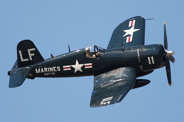  - Warbird