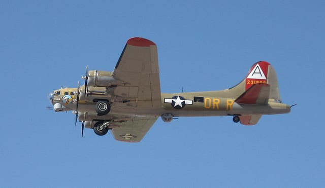  - Warbird