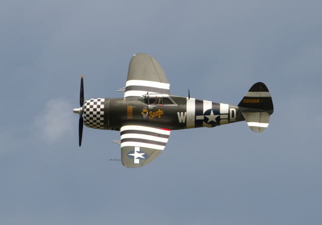  - Warbird