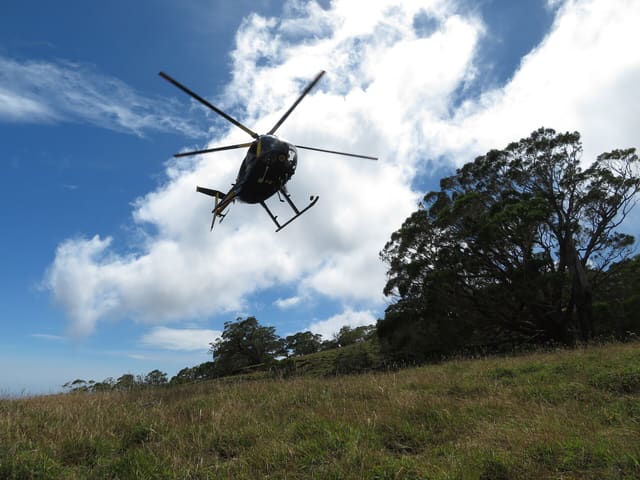 N811WA - Helicopter
