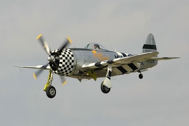  - Warbird