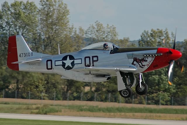  - Warbird