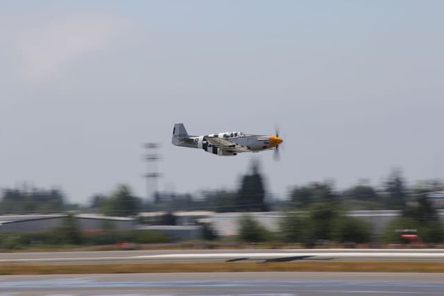 N5087F - Warbird
