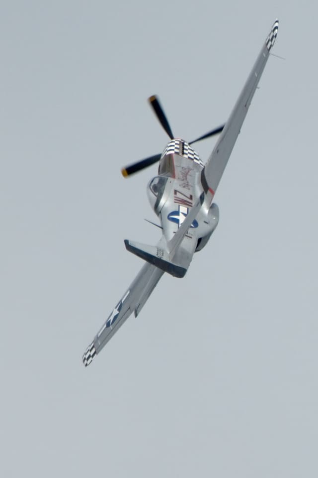  - Warbird
