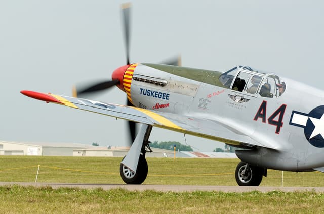  - Warbird
