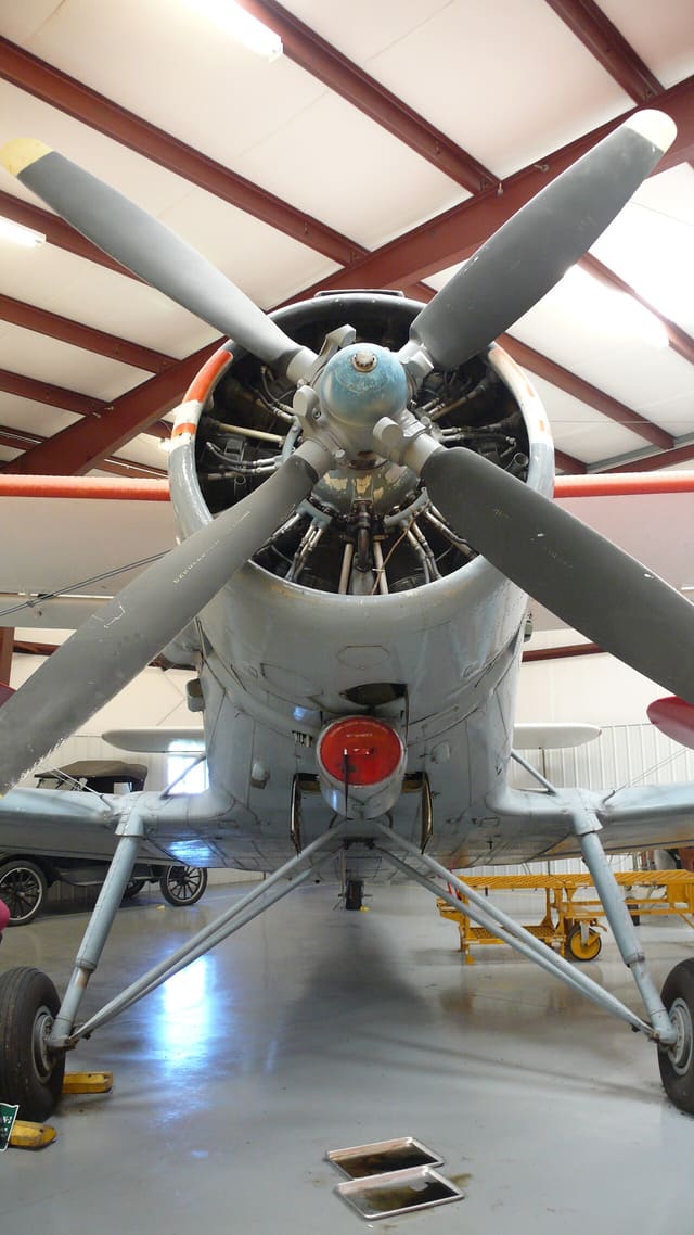 N147AS - Single-engine aircraft