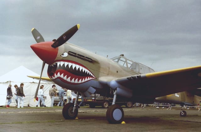 N94466 - Warbird