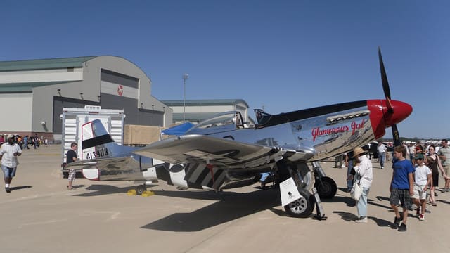  - Warbird