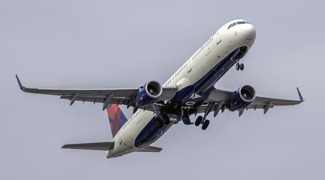 N319DN - Airbus