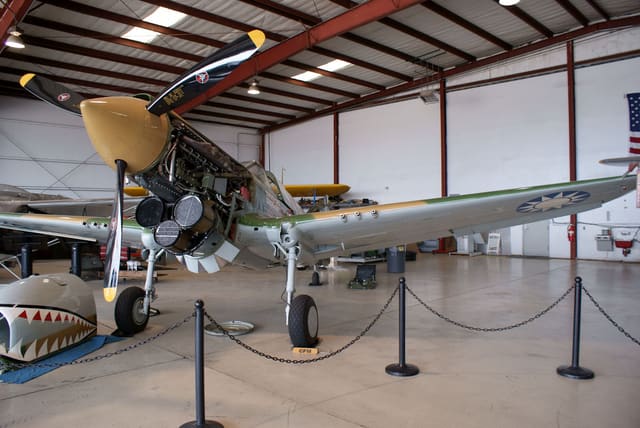  - Warbird