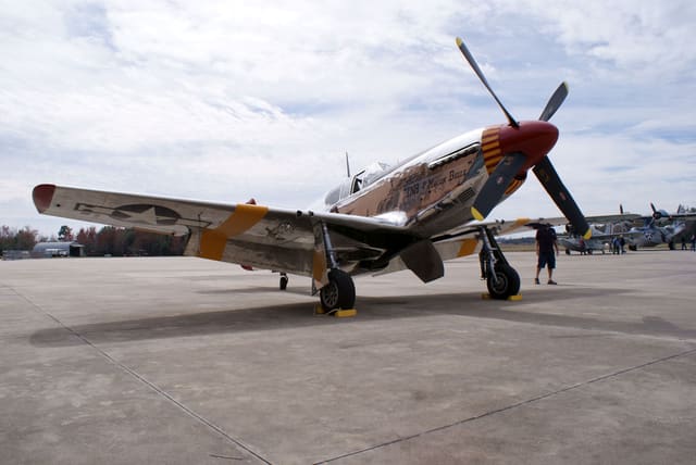  - Warbird