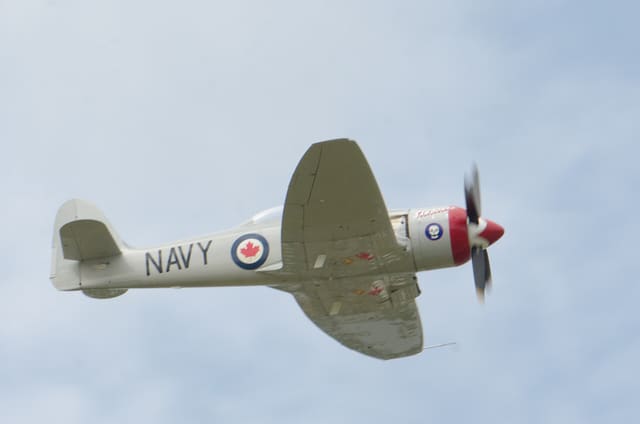 N71GB - Warbird