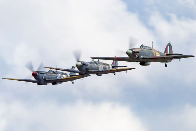  - Warbird