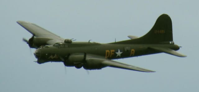  - Warbird