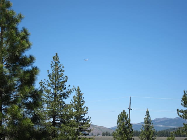 N3981C - Glider
