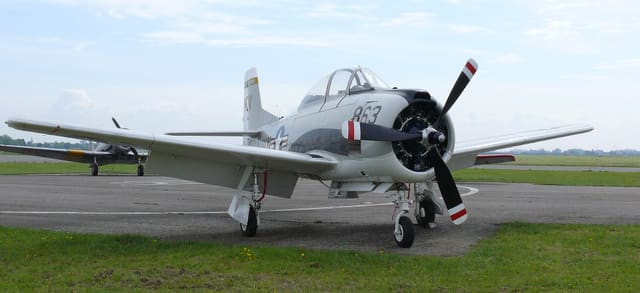  - Warbird