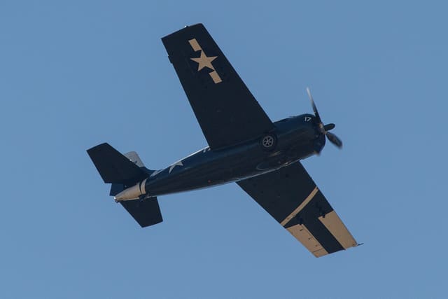  - Warbird