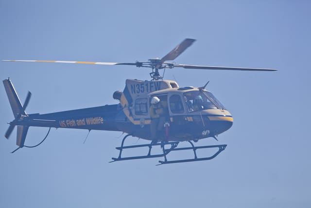 N351FW - Airbus