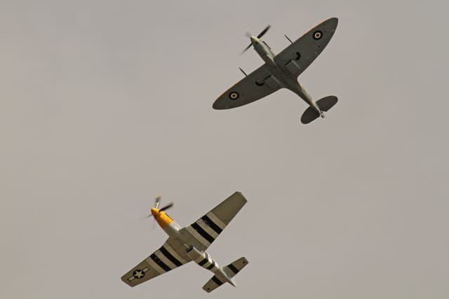  - Warbird