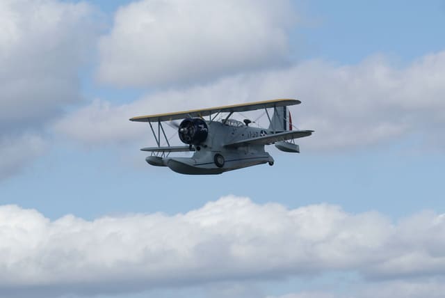 N1214N - Single-engine aircraft