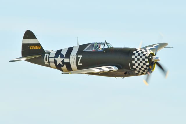  - Warbird