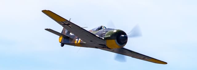 - Warbird