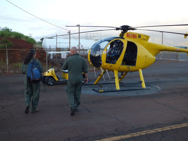N811WA - Helicopter
