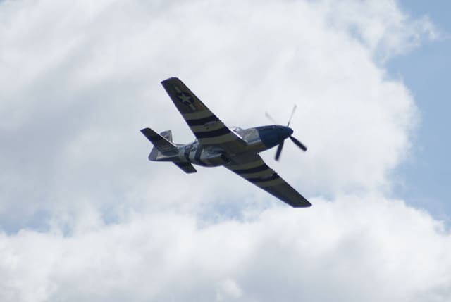  - Warbird