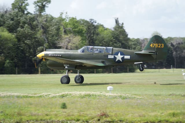  - Warbird