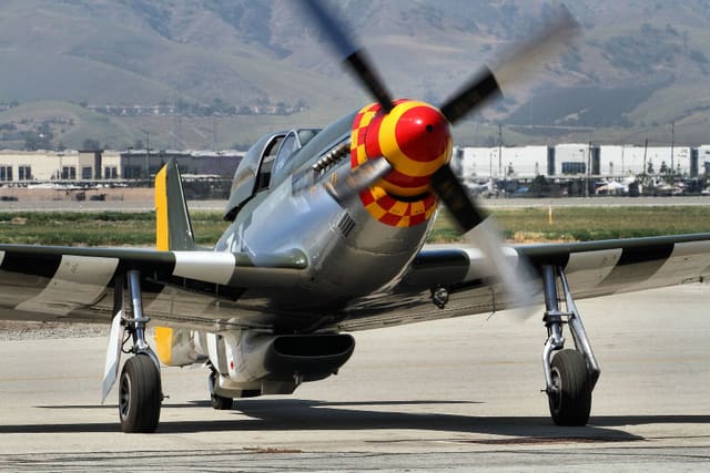  - Warbird