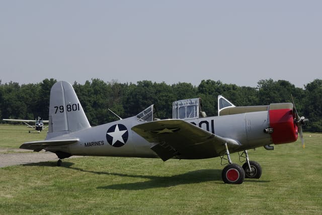 N71502 - Warbird
