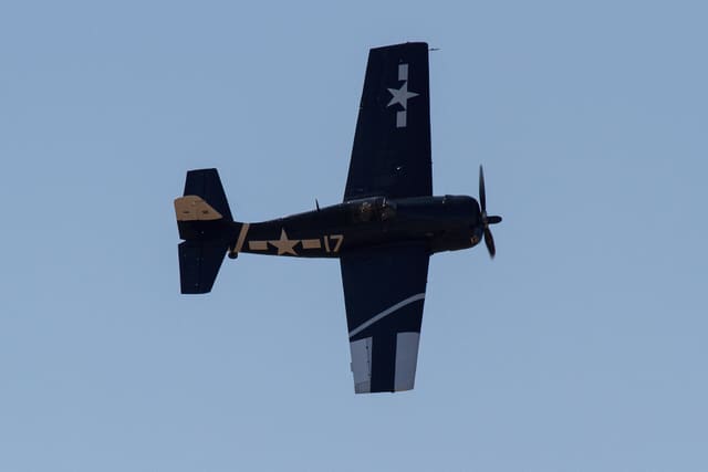  - Warbird