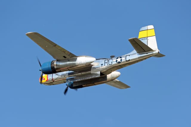  - Warbird