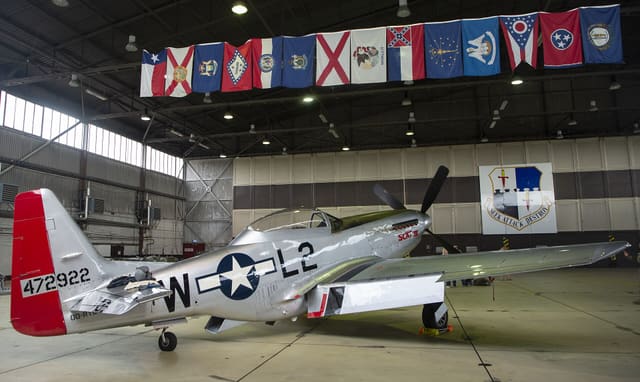  - Warbird