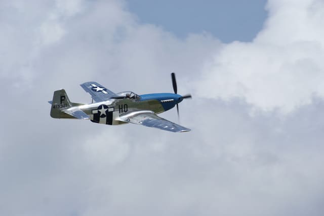  - Warbird