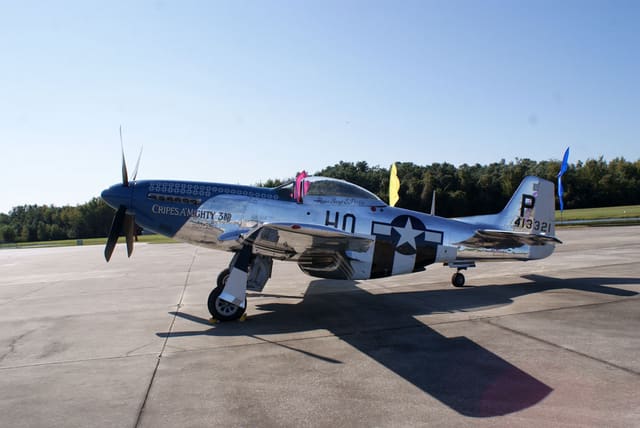  - Warbird
