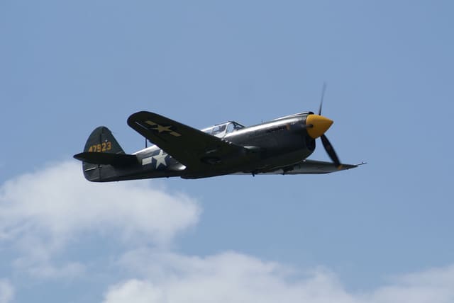  - Warbird