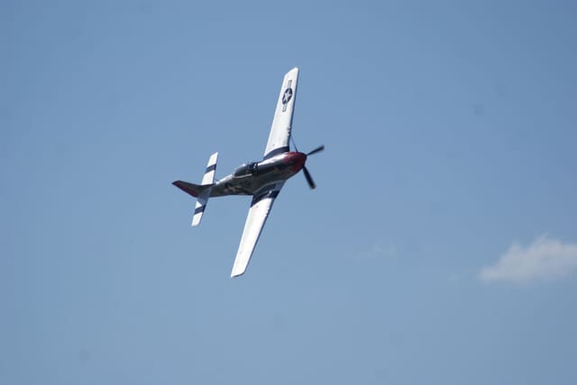  - Warbird