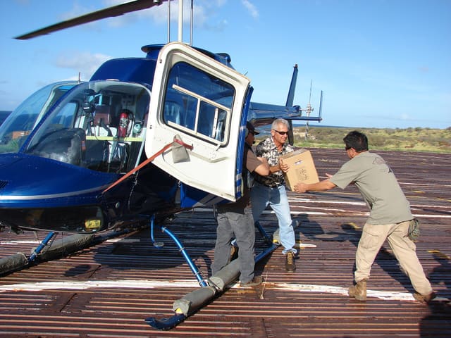 N6651H - Helicopter