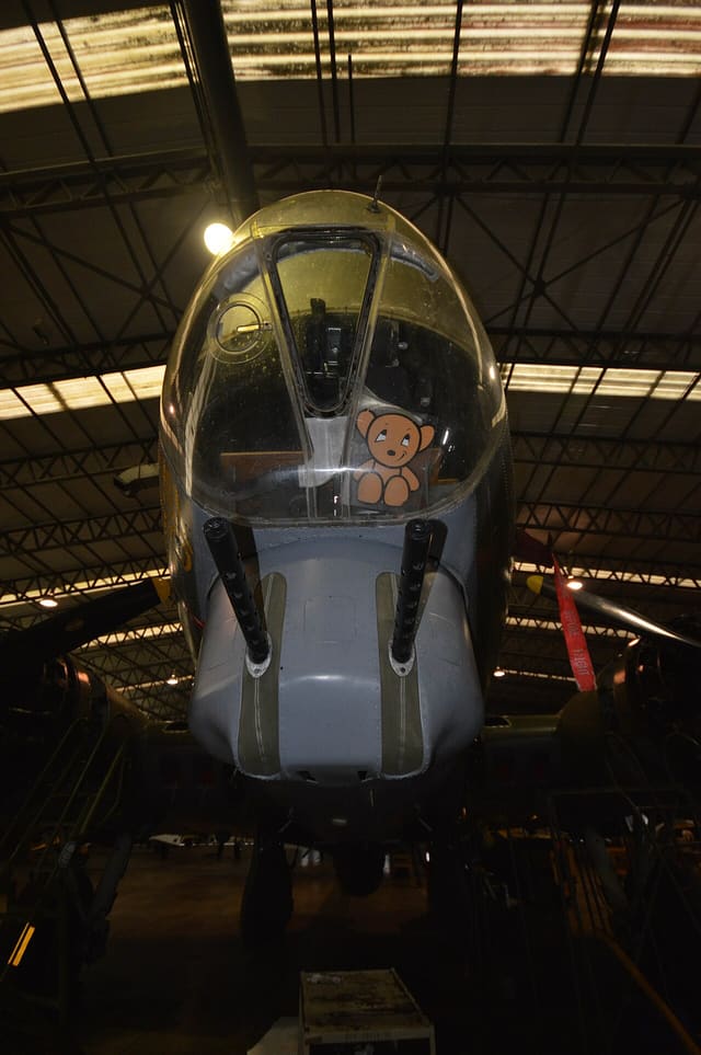  - Warbird