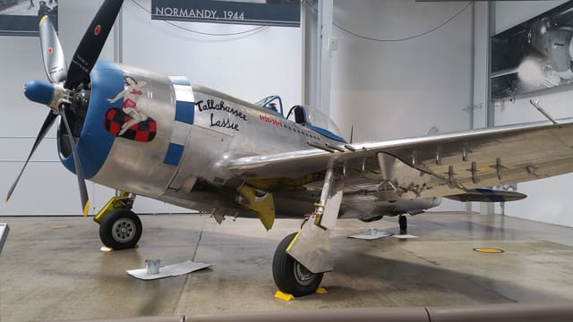  - Warbird