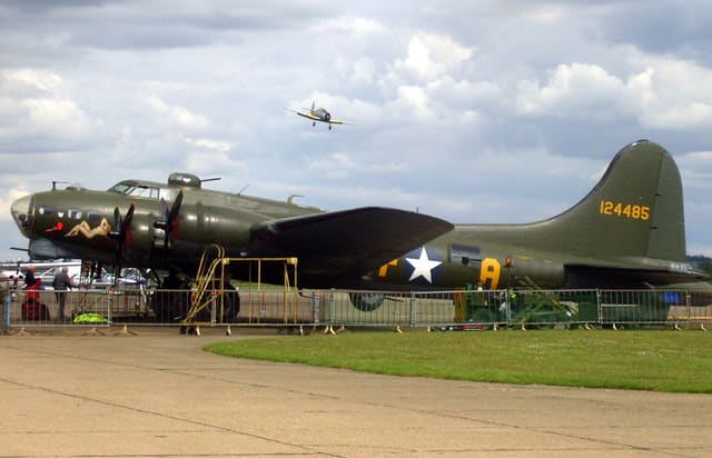  - Warbird